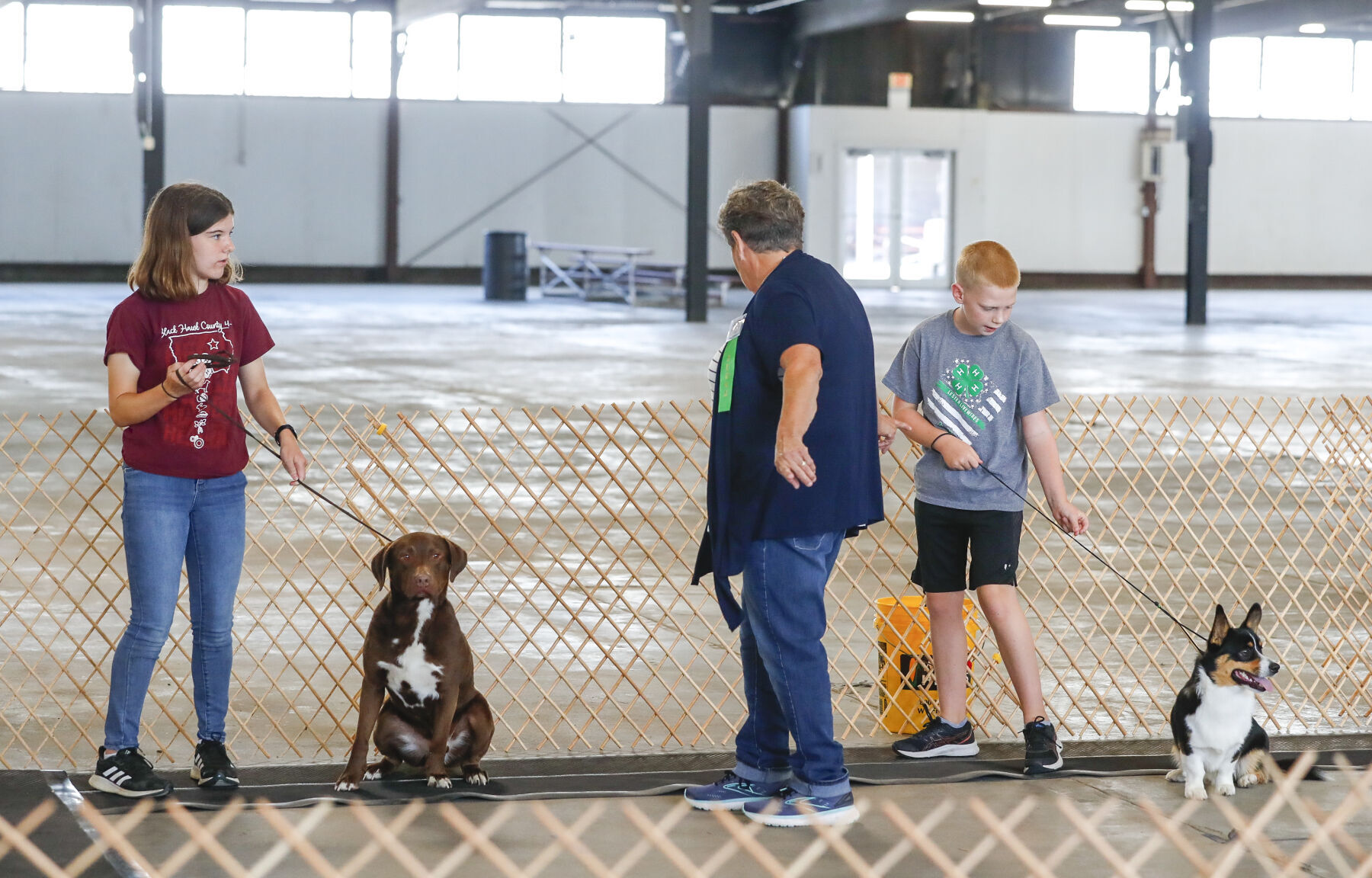 Dog Show 1
